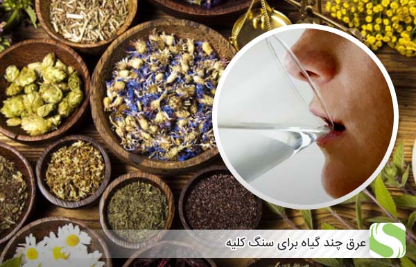 عرق چند گیاه برای سنگ کلیه - اندیشه سبز