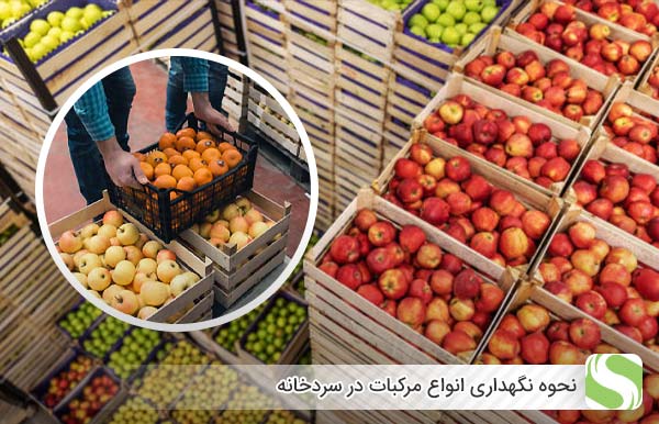 نحوه نگهداری انواع مرکبات در سردخانه - اندیشه سبز