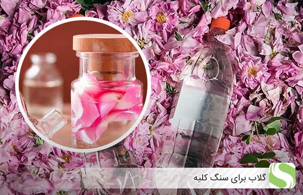 گلاب برای سنگ کلیه - اندیشه سبز