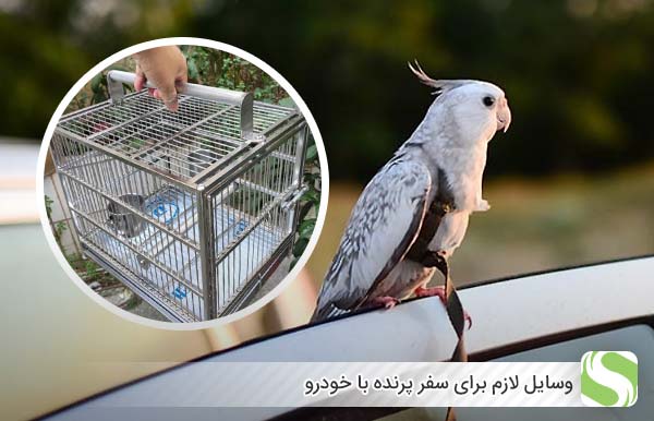 وسایل لازم برای سفر پرنده با خودرو - اندیشه سبز