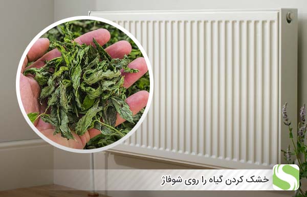 خشک کردن گیاه را روی شوفاژ - اندیشه سبز