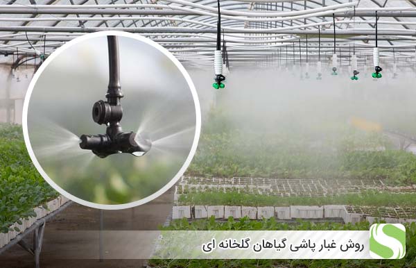 روش غبار پاشی گیاهان گلخانه ای - اندیشه سبز
