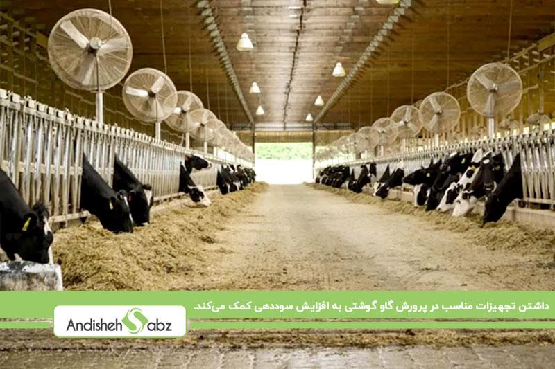 معرفی تجهیزات موردنیاز برای پرورش گاو گوشتی