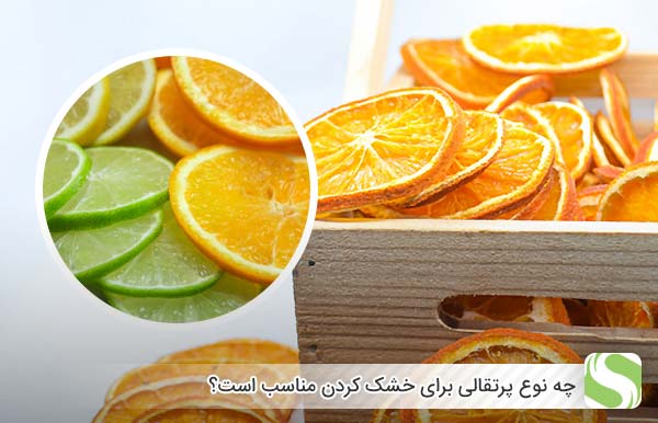 چه نوع پرتقالی برای خشک کردن مناسب است؟ - اندیشه سبز