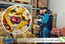 اصول نگهداری از میوه خشک شده - اندیشه سبز