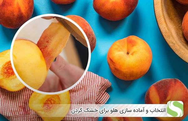 انتخاب و آماده سازی هلو برای خشک کردن - اندیشه سبز