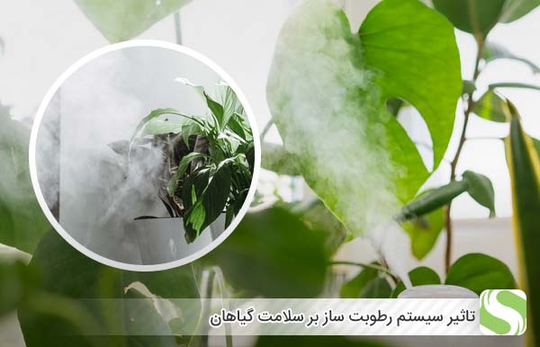 تاثیر سیستم رطوبت‌ ساز بر سلامت گیاهان - اندیشه سبز