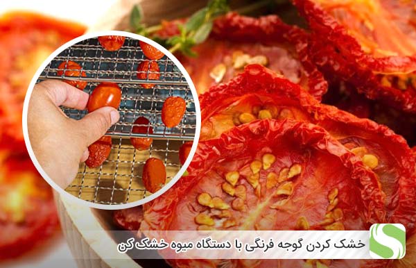 خشک کردن گوجه فرنگی با دستگاه میوه خشک کن - اندیشه سبز