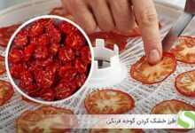 طرز خشک کردن گوجه فرنگی - اندیشه سبز