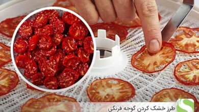طرز خشک کردن گوجه فرنگی - اندیشه سبز