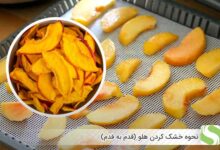 نحوه خشک کردن هلو (قدم به قدم) - اندیشه سبز