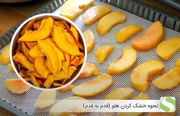 نحوه خشک کردن هلو (قدم به قدم) - اندیشه سبز