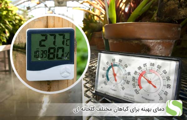 دمای بهینه برای گیاهان مختلف گلخانه‌ ای - اندیشه سبز