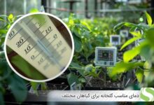 دمای مناسب گلخانه برای گیاهان مختلف - اندیشه سبز
