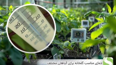 دمای مناسب گلخانه برای گیاهان مختلف - اندیشه سبز