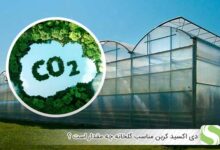 دی اکسید کربن مناسب گلخانه چه مقدار است ؟ - اندیشه سبز