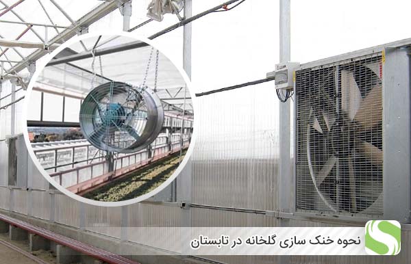 نحوه خنک سازی گلخانه در تابستان - اندیشه سبز