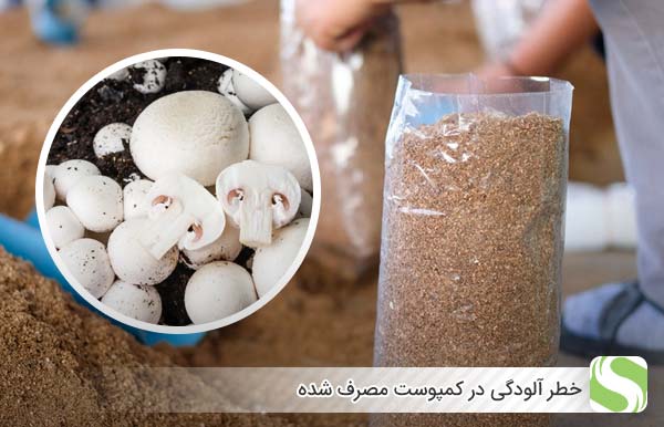 خطر آلودگی در کمپوست مصرف شده - اندیشه سبز