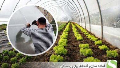 آماده سازی گلخانه برای زمستان - اندیشه سبز