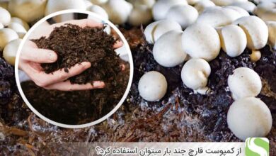 از کمپوست قارچ چند بار میتوان استفاده کرد؟ - اندیشه سبز