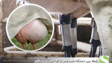 رابطه بین دستگاه شیردوش و افزایش ورم پستان - اندیشه سبز