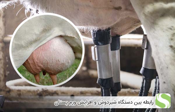 رابطه بین دستگاه شیردوش و افزایش ورم پستان - اندیشه سبز
