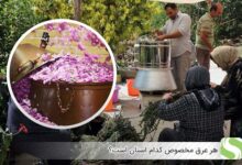 هر عرق مخصوص کدام استان است؟ - اندیشه سبز
