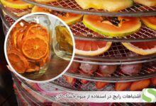 اشتباهات رایج در استفاده از میوه خشک کن - اندیشه سبز
