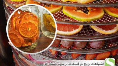 اشتباهات رایج در استفاده از میوه خشک کن - اندیشه سبز