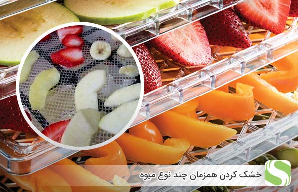 خشک ‌کردن همزمان چند نوع میوه - اندیشه سبز