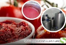 چطوری با پاتیل رب گوجه فرنگی درست کنیم - اندیشه سبز