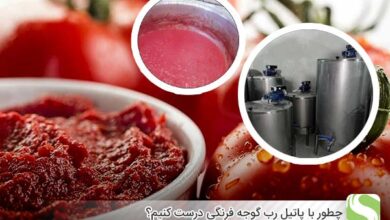 چطوری با پاتیل رب گوجه فرنگی درست کنیم - اندیشه سبز