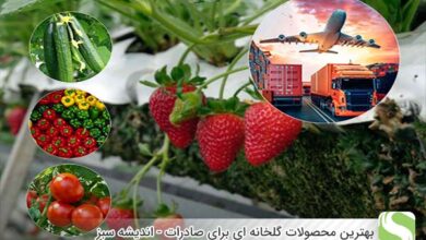 بهترین محصولات گلخانه ای برای صادرات - اندیشه سبز