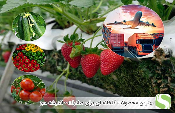 بهترین محصولات گلخانه ای برای صادرات - اندیشه سبز