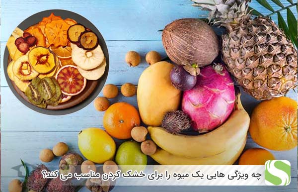 چه ویژگی هایی یک میوه را برای خشک کردن مناسب می کند؟ - اندیشه سبز