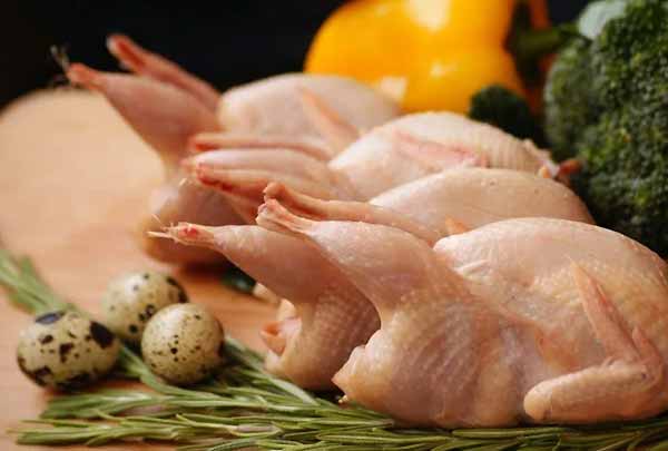 بازار عرضه و تقاضای گوشت و تخم بلدرچین - اندیشه سبز