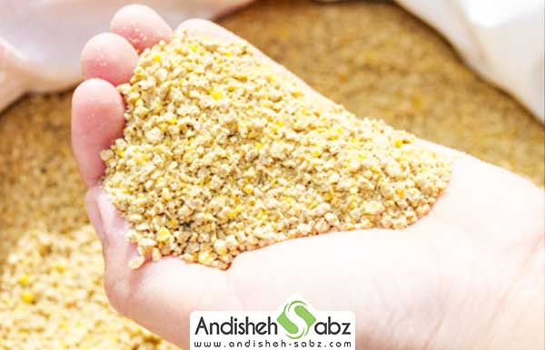 تغذیه بلدرچین ها