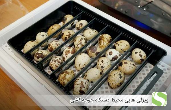 محلی که دستگاه جوجه کشی در آن قرار می گیرد چه ویژگی هایی باید داشته باشد؟ - اندیشه سبز