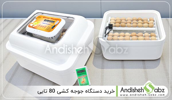 خرید دستگاه جوجه کشی 80 تایی ایزی باتور 4 - اندیشه سبز