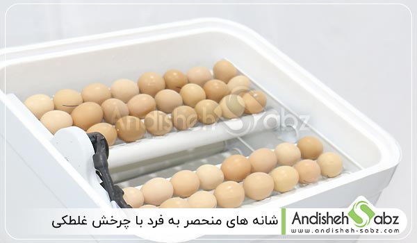 شانه های منحصر به فرد با چرخش غلطکی - اندیشه سبز