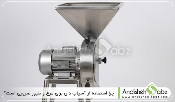 چرا استفاده از آسیاب دان برای مرغ و طیور ضروری است - اندیشه سبز