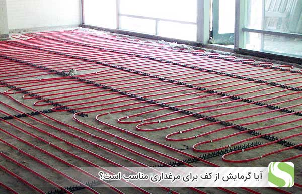 آیا گرمایش از کف برای مرغداری مناسب است؟ - اندیشه سبز