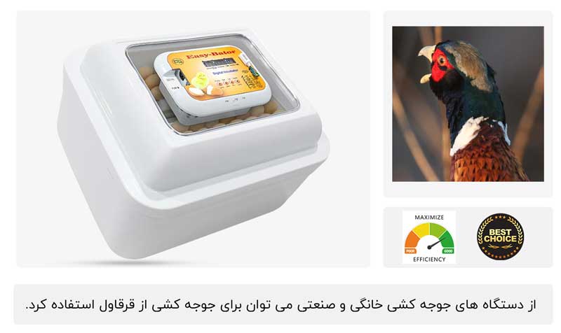 دستگاه جوجه کشی مخصوص قرقاول - فروشگاه اینترنتی اندیشه سبز