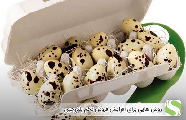 روش هایی برای افزایش فروش تخم بلدرچین - اندیشه سبز