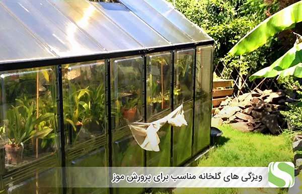 ویژگی های گلخانه مناسب برای پرورش موز - اندیشه سبز