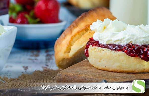 آیا میتوان خامه یا کره حیوانی را جایگزین شیر کرد؟ - اندیشه سبز