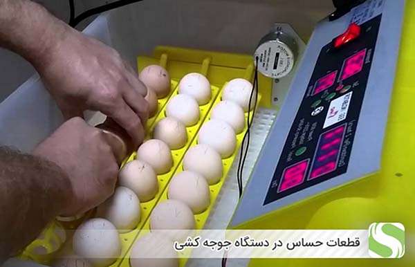 قطعات حساس در دستگاه جوجه کشی - اندیشه سبز