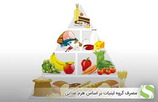 مصرف گروه لبنیات بر اساس هرم غذایی - اندیشه سبز