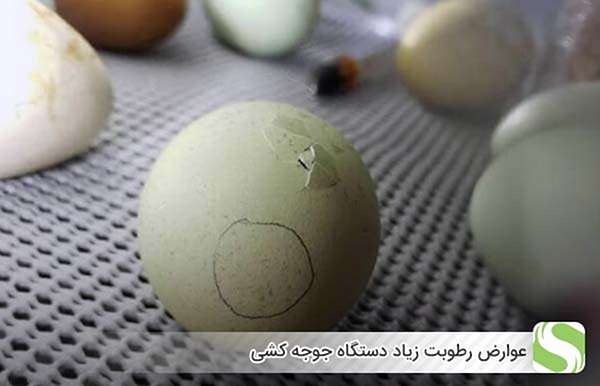 عوارض رطوبت زیاد دستگاه جوجه کشی - اندیشه سبز