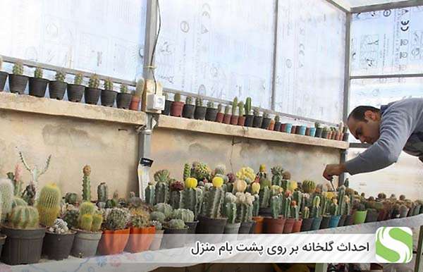 احداث گلخانه بر روی پشت بام منزل - اندیشه سبز